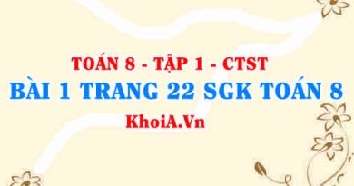 Bài 1 trang 22 SGK Toán 8 Tập 1 Chân trời sáng tạo